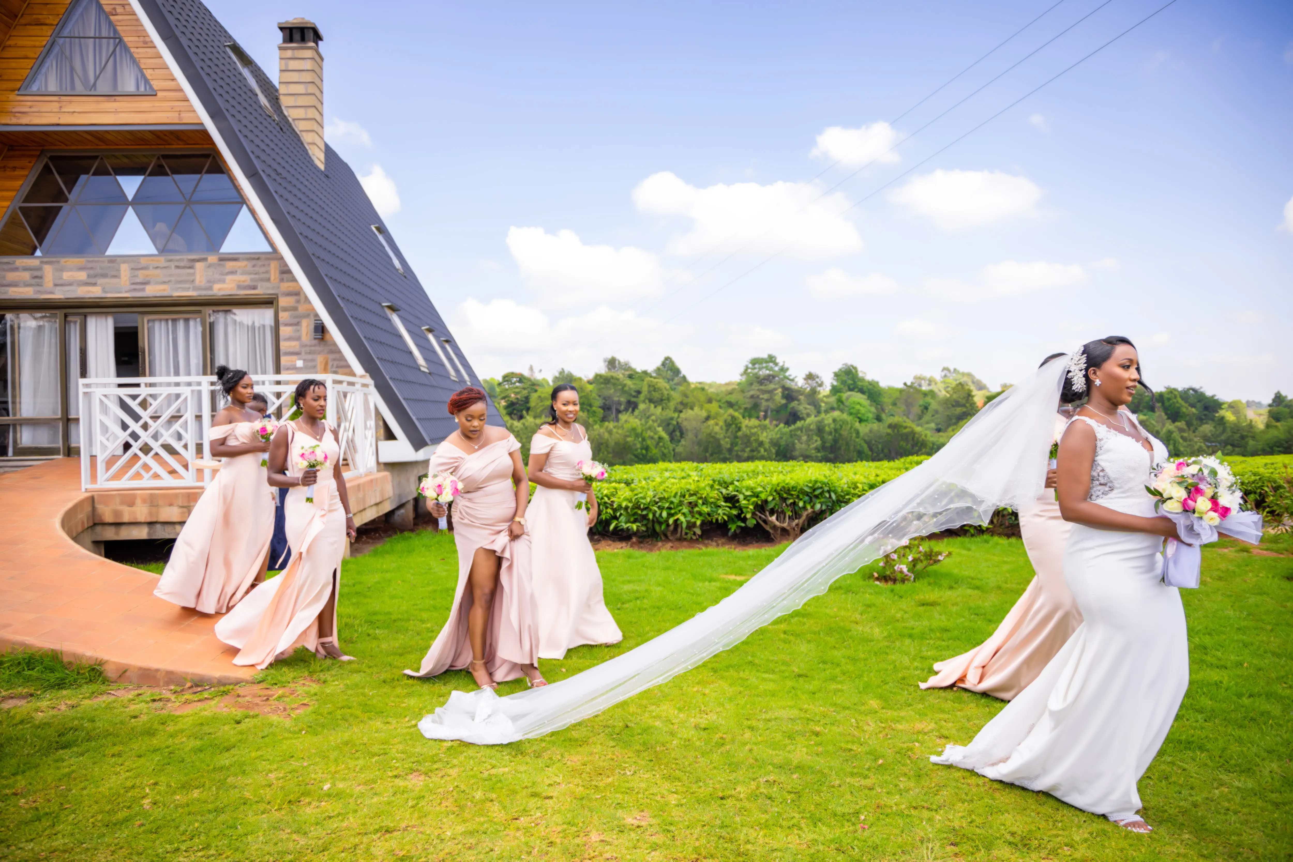 Wedding photography background